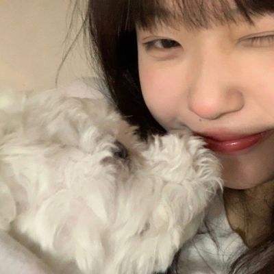 青云仙侠传内购破解版手游下载